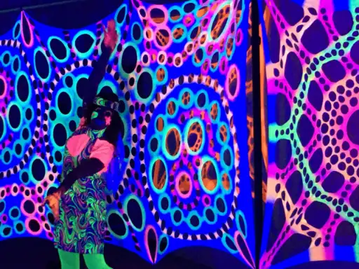 Black Light Adventure Small Package for Rent Los Angeles